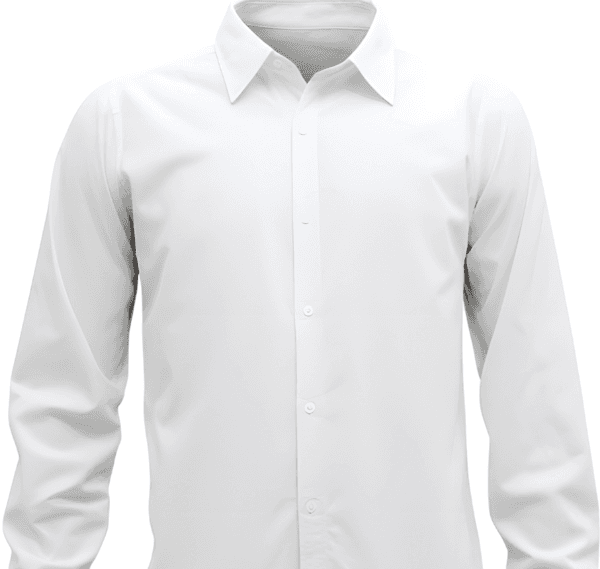 shirt dry cleaning price